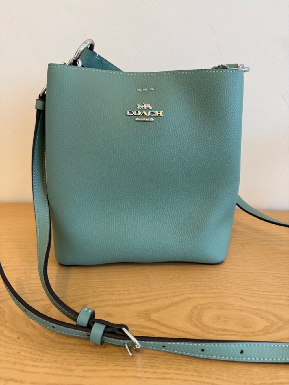 Coach Small Town Bucket Bag in Mint